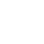 Rotating Badge